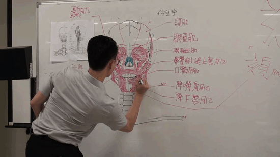 chinese-teacher-anatomical-chalkboard-drawings-1