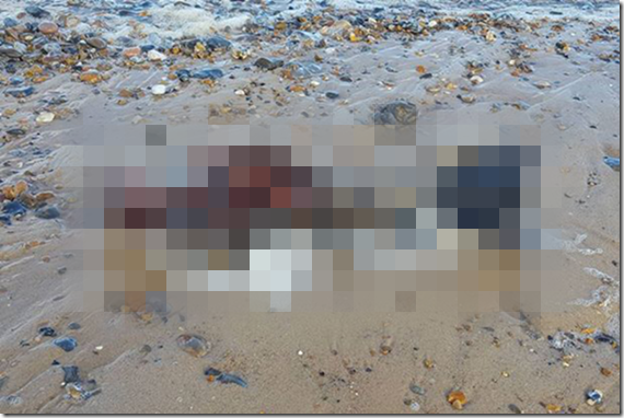 【画像あり】海岸に「人魚の死体」が打ち上げられる！海外「これはどうみても……」