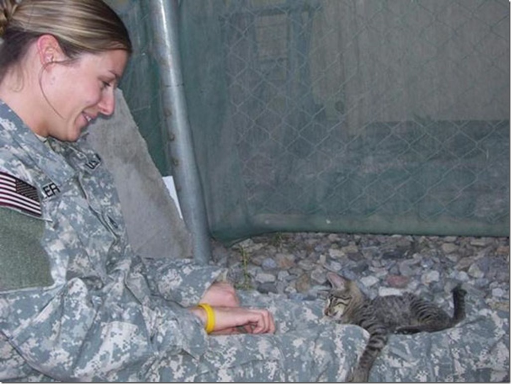 soldier-refuses-leaving-special-needs-kitten-afghanistan-4