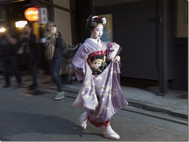 geisha-hunting-is-one-of-kyoto-tourists-favourite-past-times-there-are-less-than-1000-of-these-enigmatic-female-entertainers-left-in-the-whole-of-japan-making-a-sighting-a-real-privilege