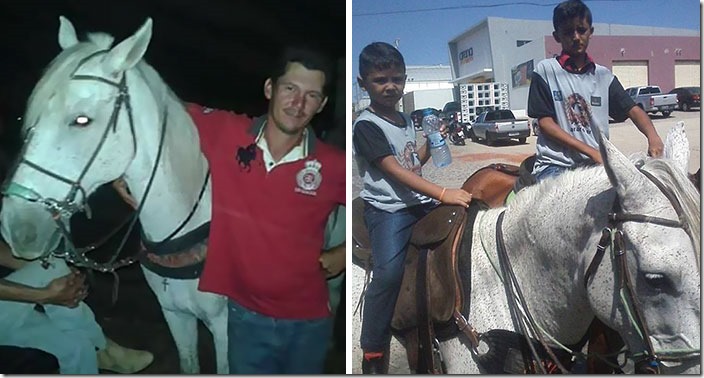 horse-goodbye-owner-funeral-brasil-10