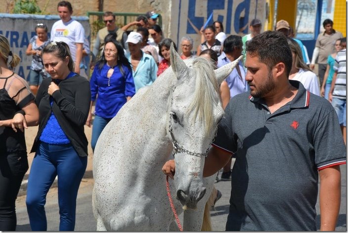 horse-goodbye-owner-funeral-brasil-3