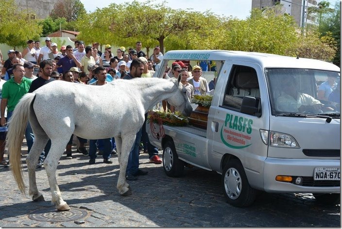 horse-goodbye-owner-funeral-brasil-4